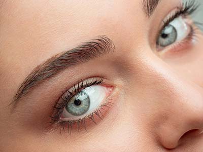 Eyelids